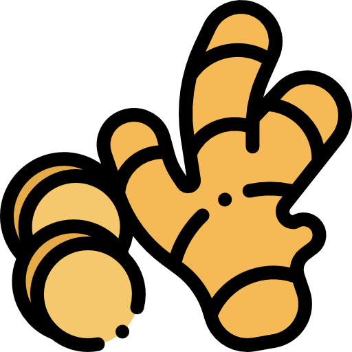 Illustrated fresh ginger root
