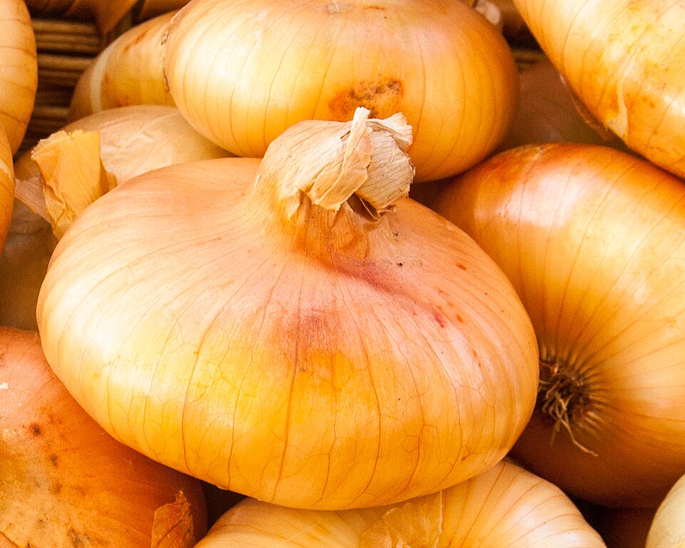 Cipollini Onions