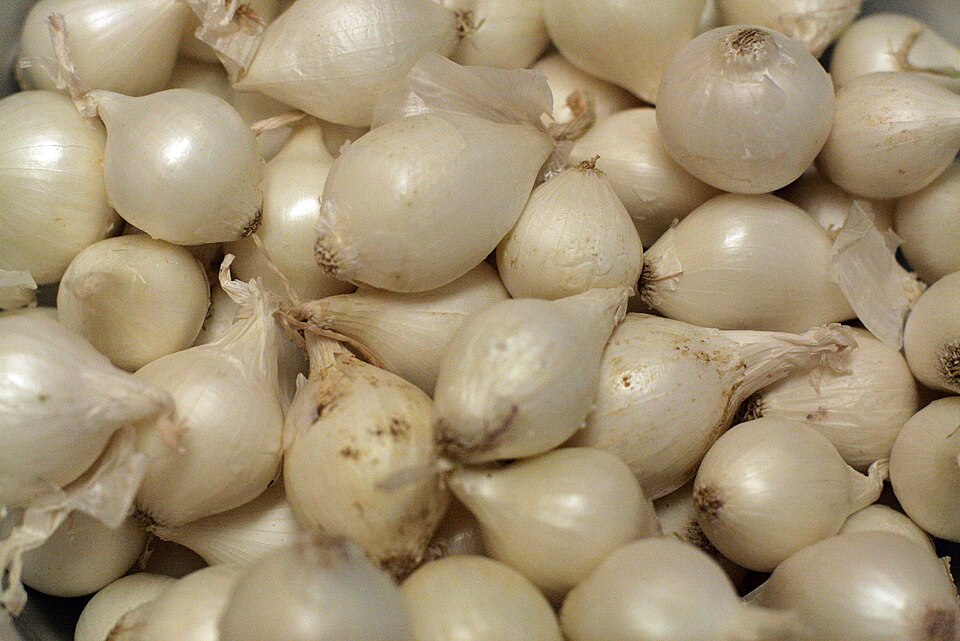 Pearl Onions