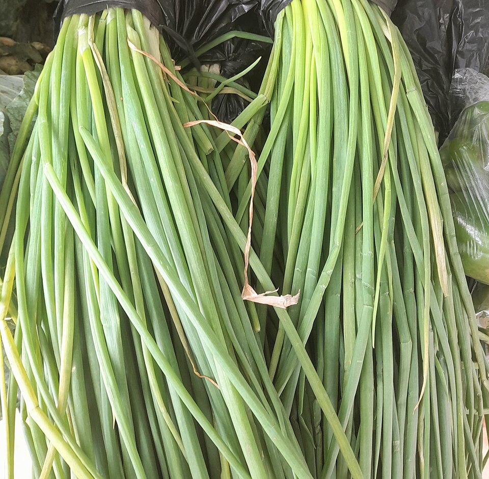 Green Onions