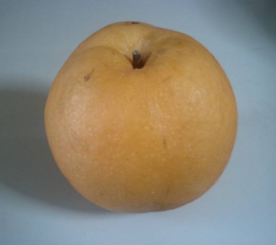 Asian Golden Pears