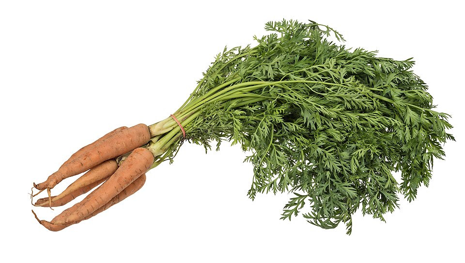 Chinese Carrots