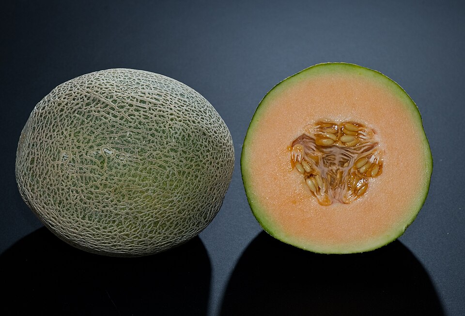 Whole and halved cantaloupe