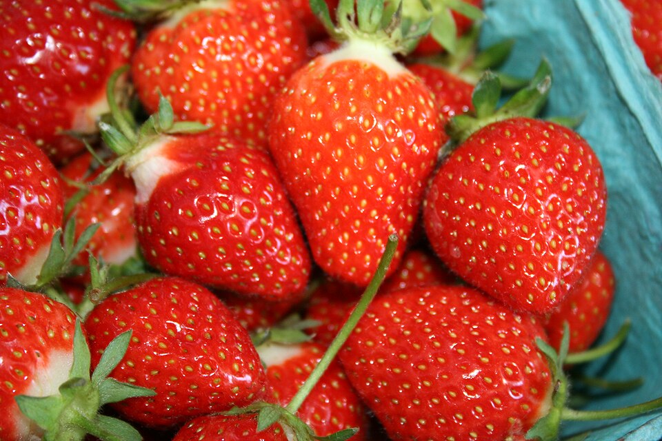 Fresh strawberries
