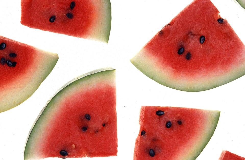 Fresh watermelon slices